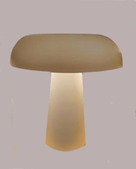 No hay imagen establecida 